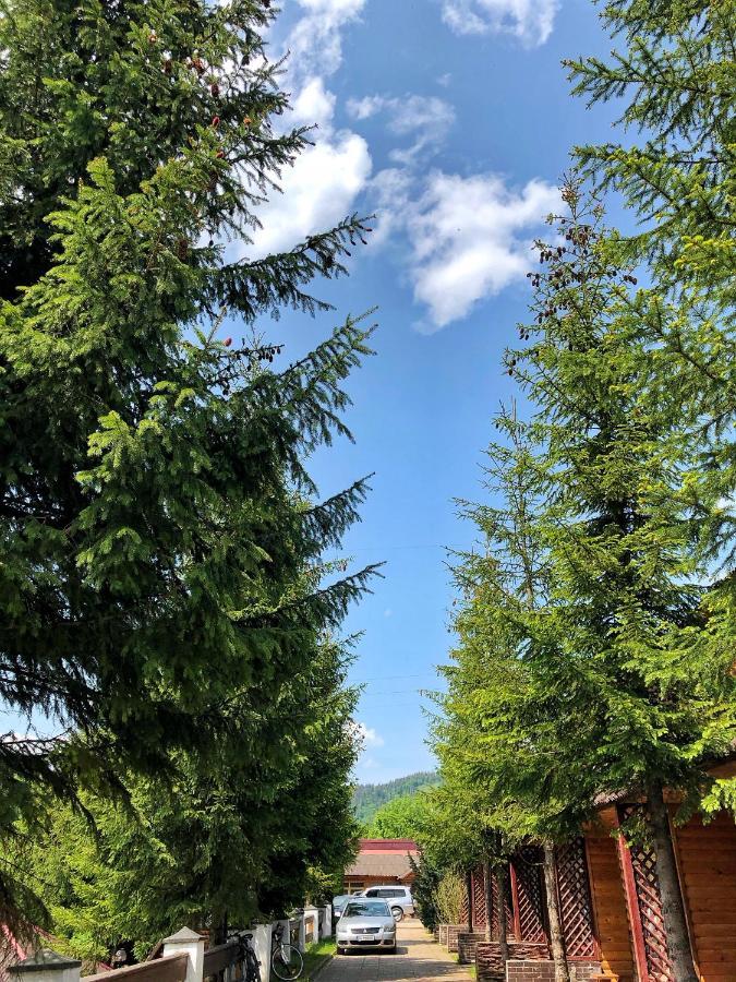 Aspen Hotel Slavske Bagian luar foto